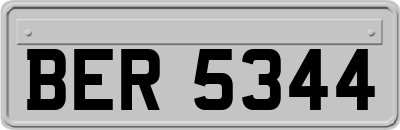 BER5344