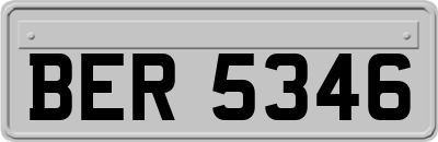 BER5346