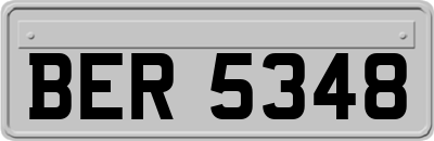 BER5348