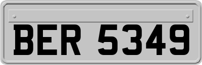 BER5349