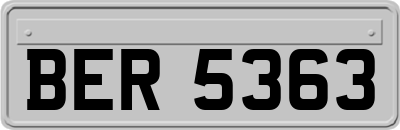 BER5363