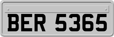 BER5365