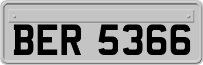 BER5366