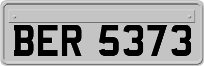 BER5373