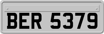 BER5379