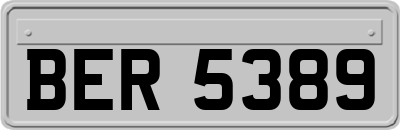 BER5389