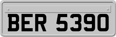 BER5390