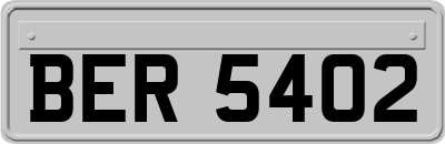 BER5402