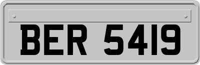 BER5419