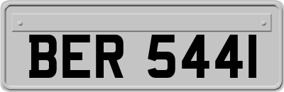 BER5441