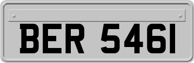 BER5461