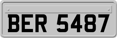 BER5487