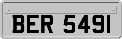 BER5491