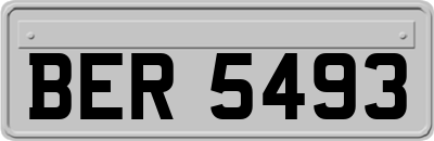 BER5493