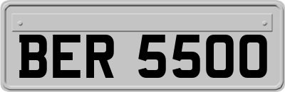 BER5500