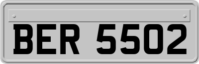 BER5502