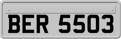 BER5503