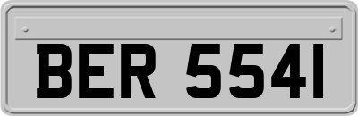 BER5541