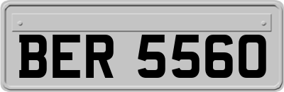 BER5560