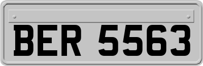 BER5563