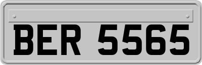 BER5565