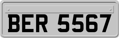 BER5567