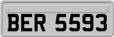 BER5593