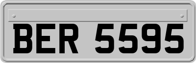 BER5595