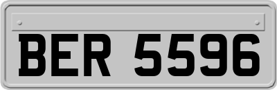 BER5596