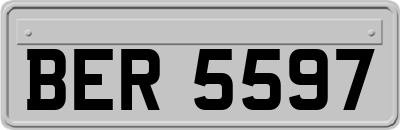 BER5597