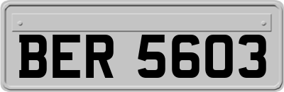 BER5603