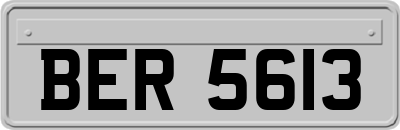 BER5613