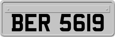 BER5619