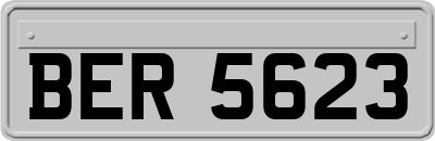 BER5623