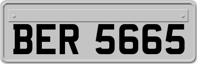 BER5665