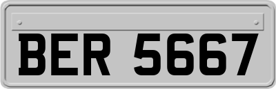 BER5667