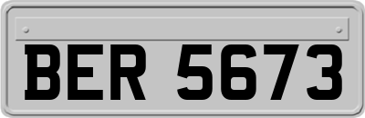 BER5673