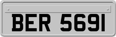 BER5691