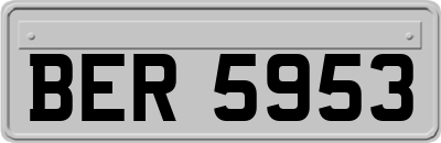 BER5953