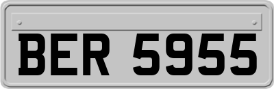 BER5955