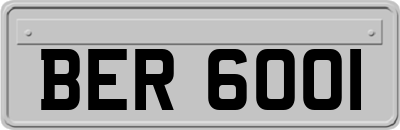 BER6001