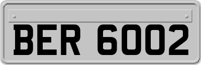 BER6002