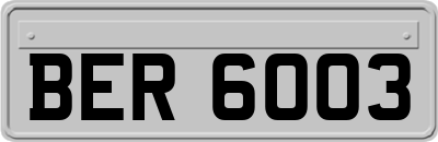 BER6003