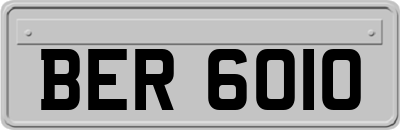 BER6010