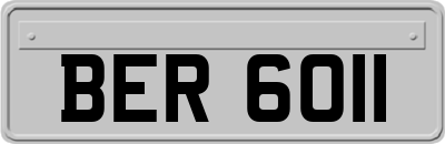 BER6011