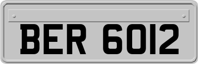 BER6012