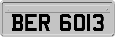 BER6013