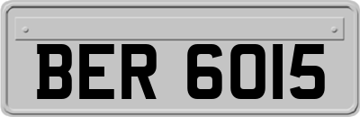 BER6015