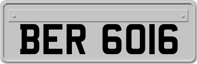 BER6016