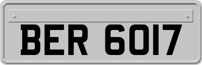 BER6017